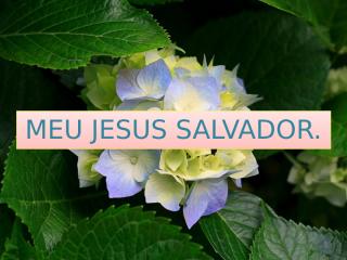 MEU JESUS SALVADOR.pptx