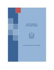 provincial audit (civil auidt) punjab.docx